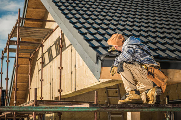 Best Roof Moss and Algae Removal  in Conway, PA